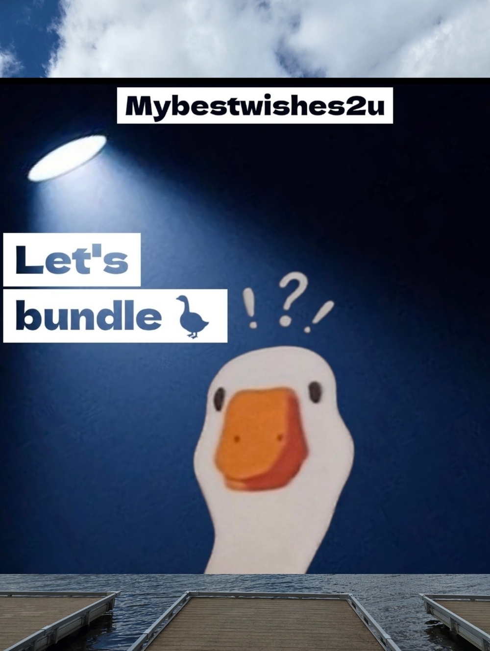 Let's Bundle 🪿🧡 - Picture 3 of 5